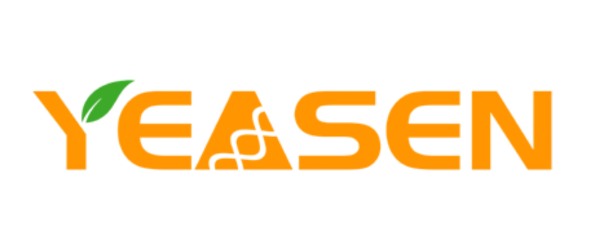 Yeasen Logo