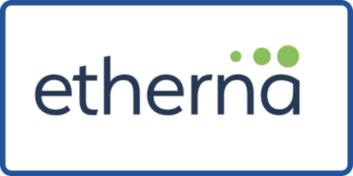 Etherna - 2024 Partner
